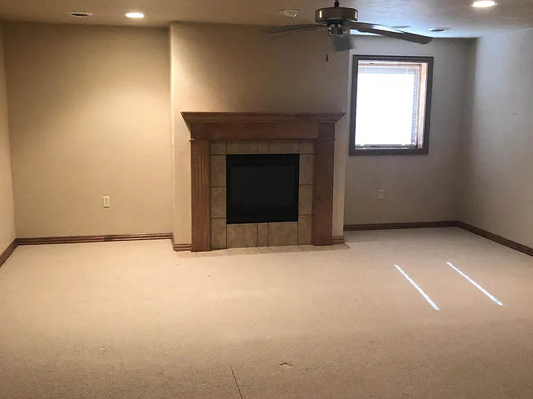 Lower level family room with FP