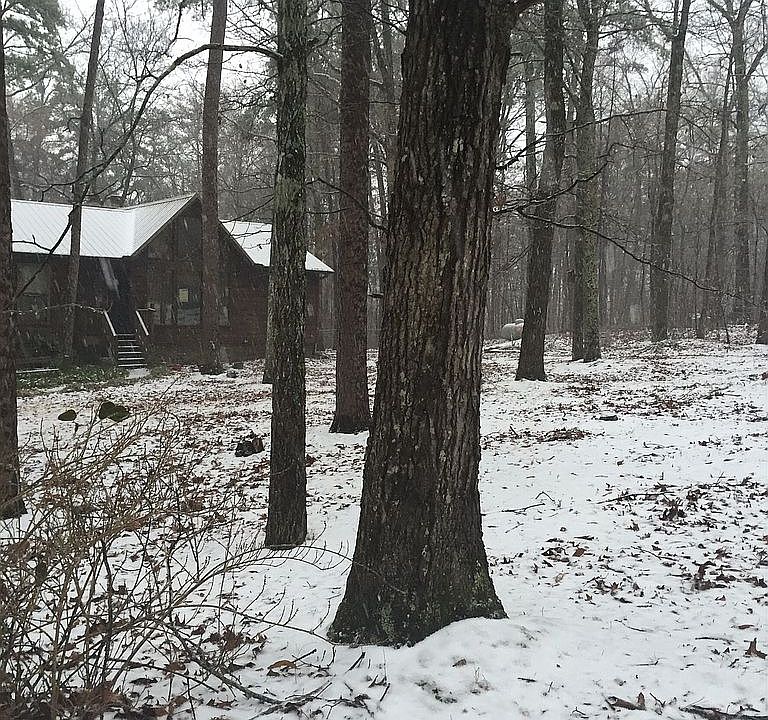2nd image of 119 Brent Cir