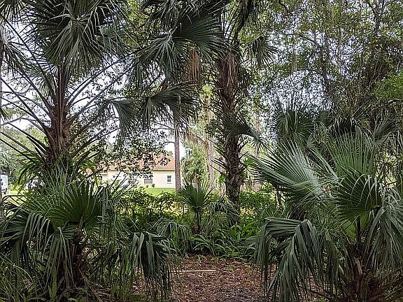 4th image of 1710 Hideaway Forest Trl