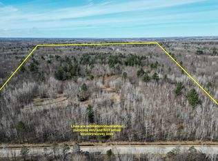 S Shepherd Rd, Mount Pleasant, MI 48858