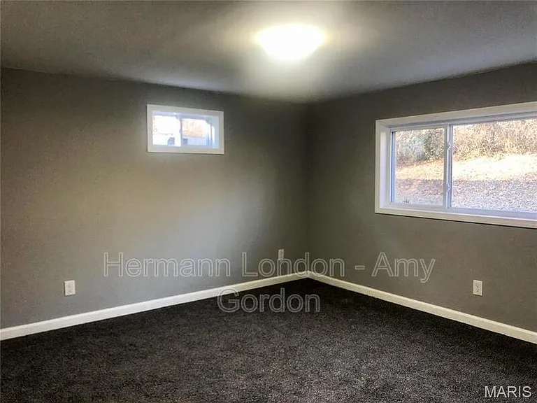 10729 Waycroff Dr — Photo 13
