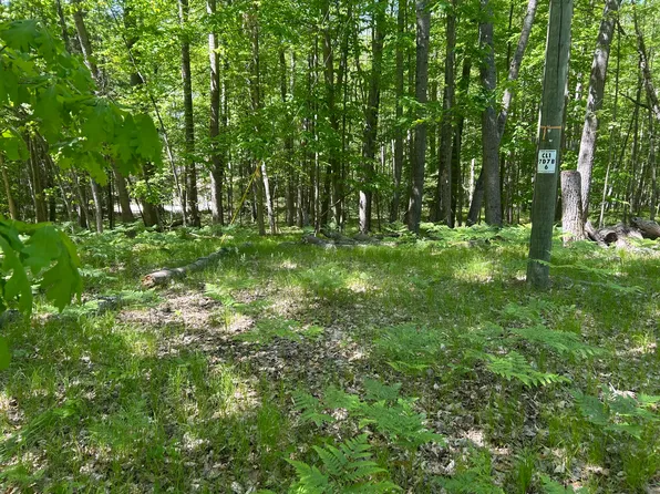 8297 Highland Trl #349, Stanwood, MI 49346