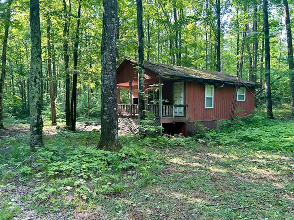 4983 Blackberry Ln, Elmira, MI 49730