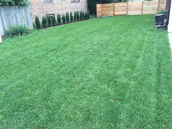 Side yard