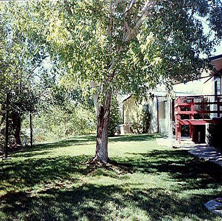 5th image of 550 E 1st Ave