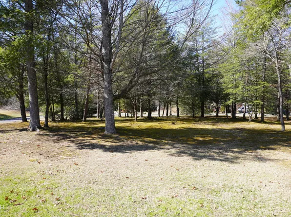 LOT 19 Rhododendron Trl, Cosby, TN 37722