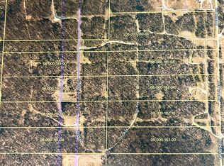 1 Lewis Rd TRACT 4, Sumner, IL 62466