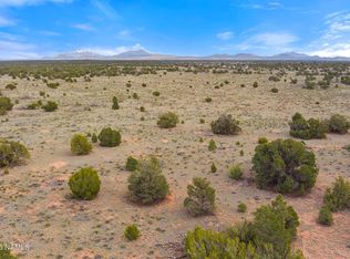 50178020C Silver Bear Ln, Williams, AZ 86046