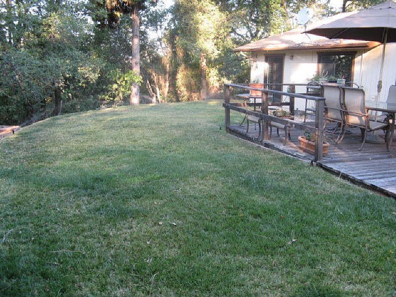 Great Backyard