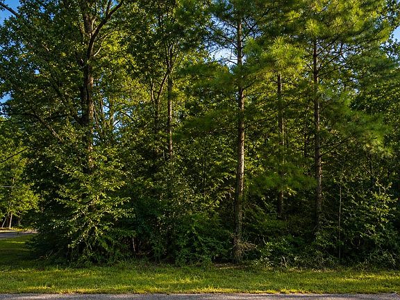4th image of Hackberry Dr