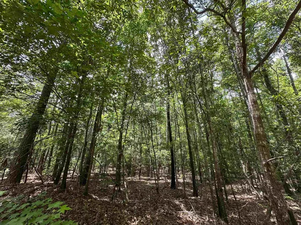 982/ACRE S Springfield Rd #Na, Sparta, GA 31087