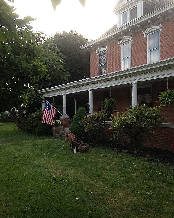 1st image of 203 E High St
