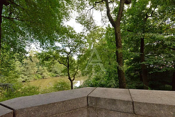 Rented by Peter Ashe | media 12