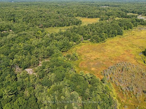 4th image of 13610 Georgian Bay Rd
