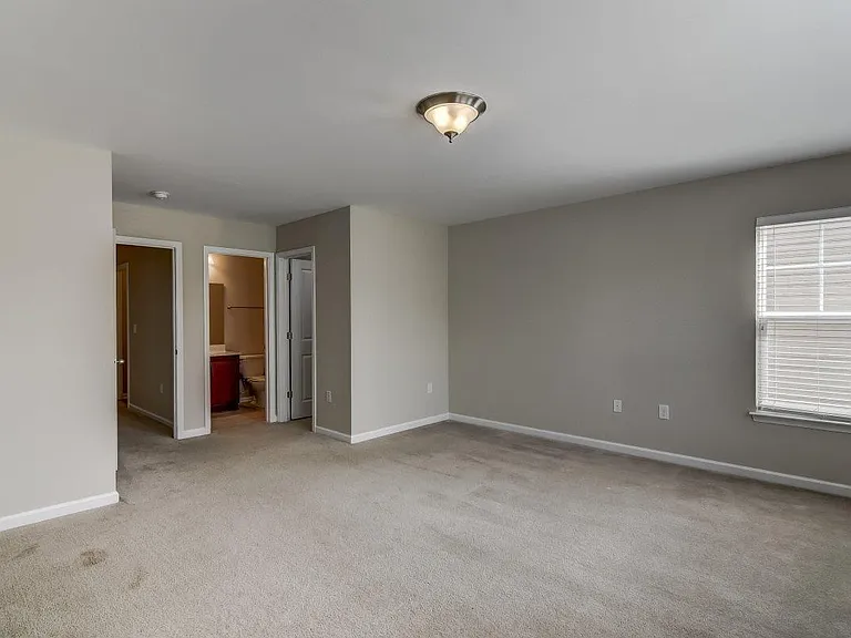 689 Carolina Farms Blvd — Photo 19