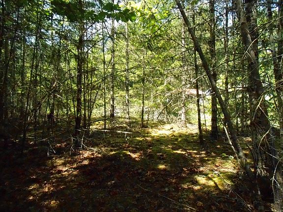 4th image of 0 Butter Creek Ln Lot 4