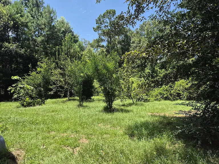 52043 Noto Rd — Photo 14