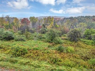 Middle Rd #26, East Concord, NY 14055