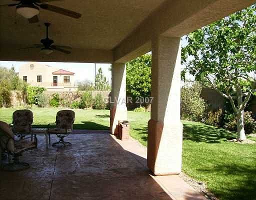 Large Mature Backyard