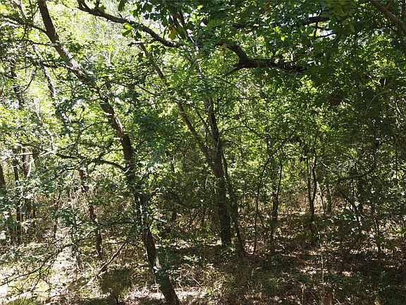 3rd image of 4189 Willow Oak Bnd