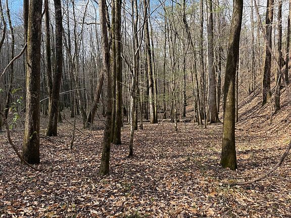 3rd image of 564 Macedonia Rd