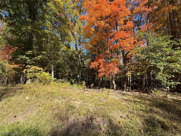 V/l 3 Trask Rd, Leroy, OH 44086