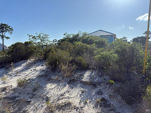 2nd image of 105 Sand Trace Dr