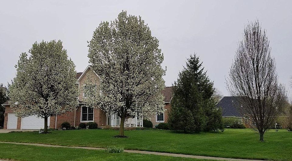 1st image of 421 Winter Pine Dr