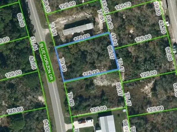 111 BLUE HORIZON DRIVE LOT 3, LAKE PLACID, FL 33852