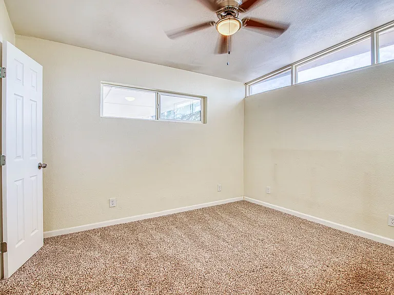 8818 Mount Elbert Dr — Photo 28