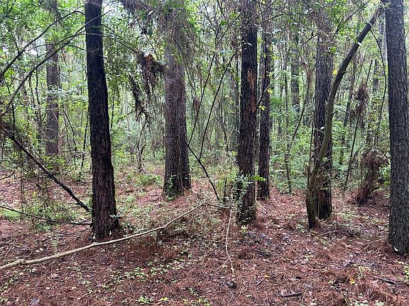 2nd image of Tbd Battle Rd