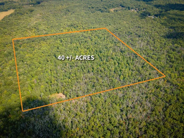 E Cleveland Rd, Hesperia, MI 49421