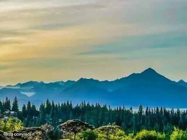 64080 Mineral Dr, Homer, AK 99603