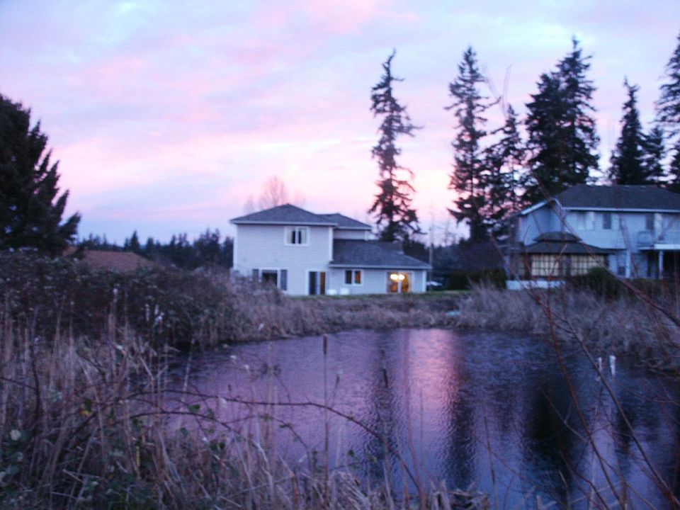 back of house