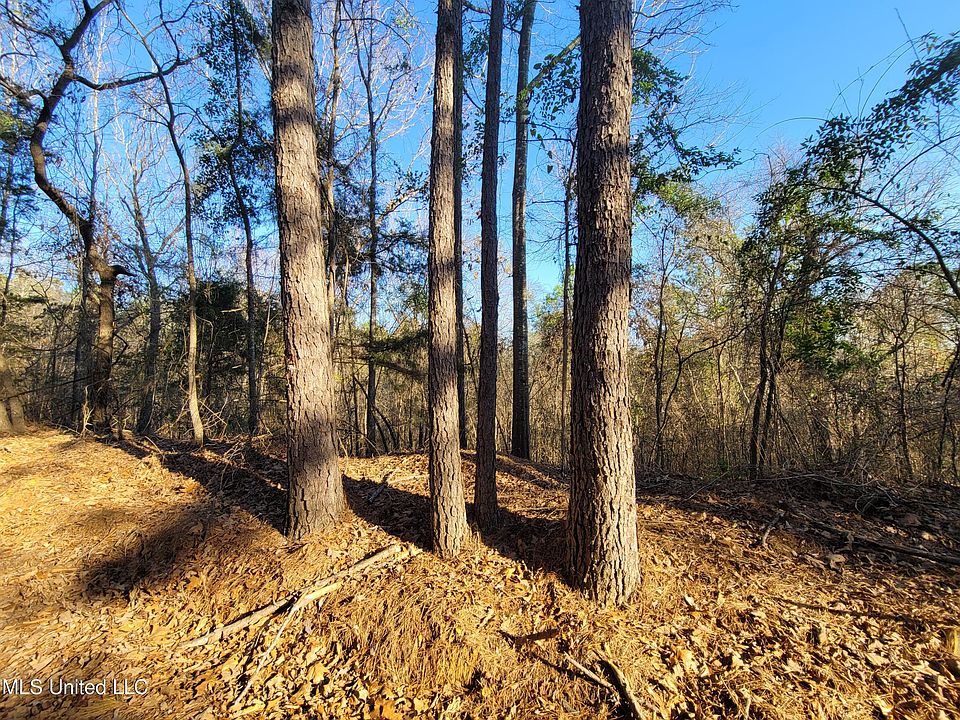 Fortune Trl, Walnut Grove, MS 39189 Zillow