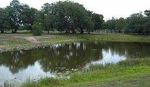2nd image of 1841 Dog Kennel Rd