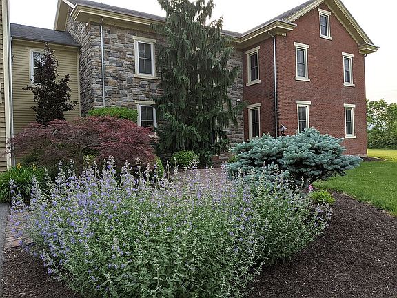 Creative Plantscapes Design