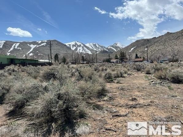 LOT X3 Us Highway 395, Coleville, CA 96107