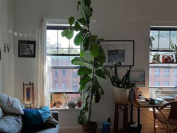 2nd image of 255 Lexington Ave #4