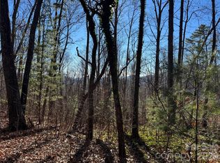 99999 Buffalo Trl #86, Asheville, NC 28805