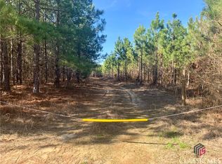 0 Bray Rd, Wrightsville, GA 31096