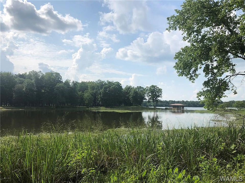 81 Black Warrior Bay, Sawyerville, AL 36776 Zillow