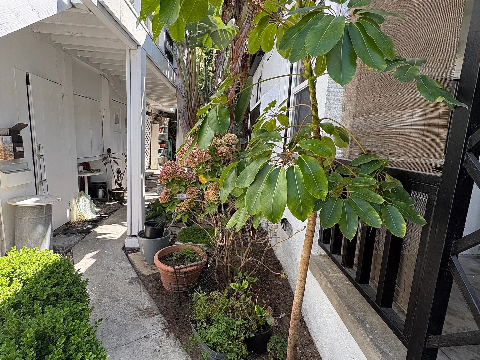 1 bed, 800 sqft, $3,300 — Photo 2