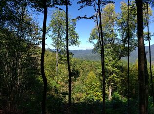 347 Pretty Precious Ln, Whittier, NC 28789