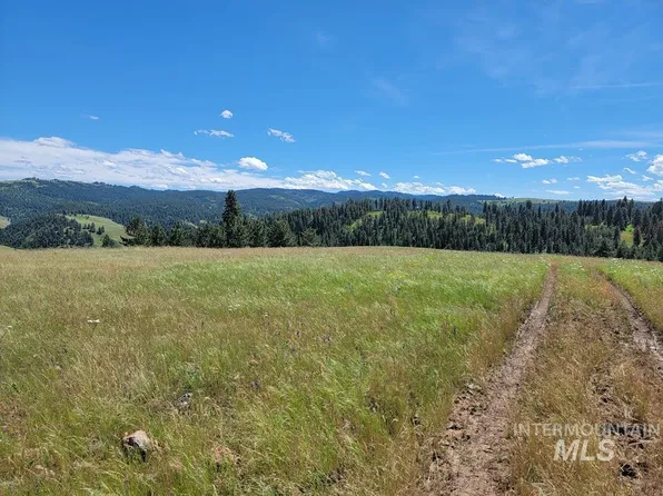 Scully Creek Rd, Cottonwood, ID 83522