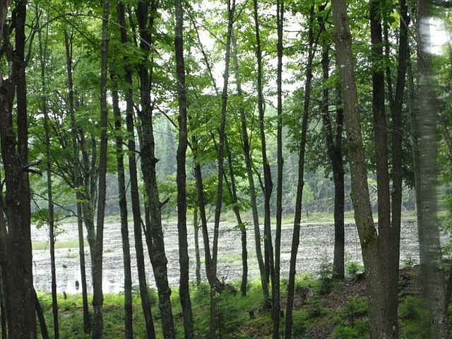 2nd image of 3713 Boy Scout Island Rd