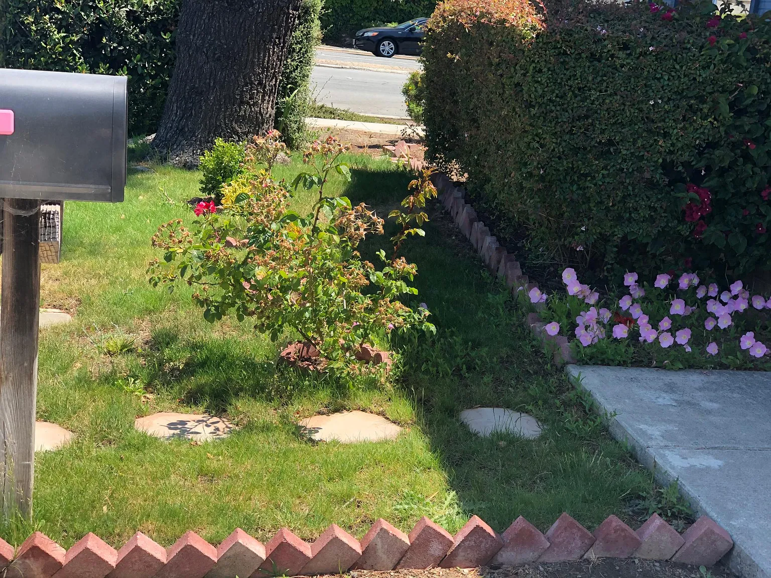 3 bed, 1485 sqft, $4,200 — Photo 3