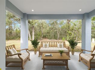 63 Guava Place Dr, Ocklawaha, FL 32179