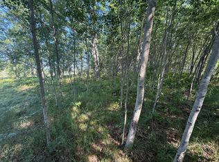 W Royal Rd LOT C, Stanwood, MI 49346