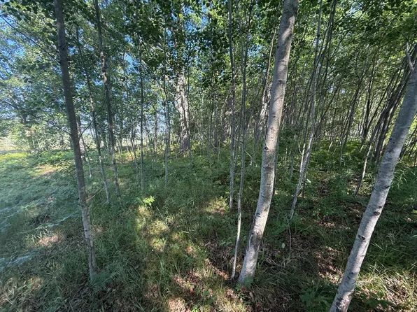 W Royal Rd Lot C, Stanwood, MI 49346